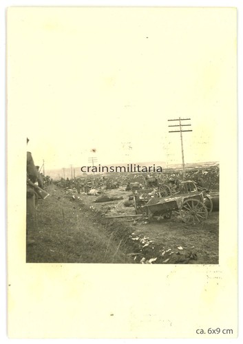 Orig foto russa cavallo - orig.,